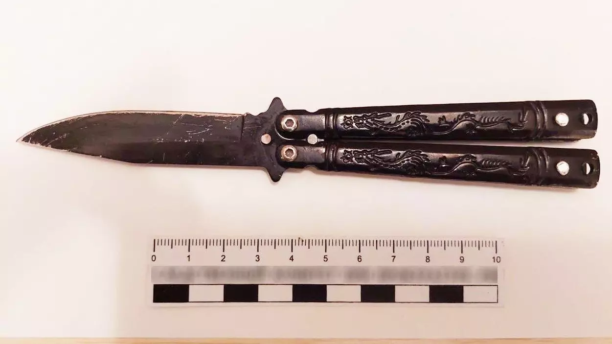 Карельские следователи показали, каким ножом девятиклассник ранил девочек