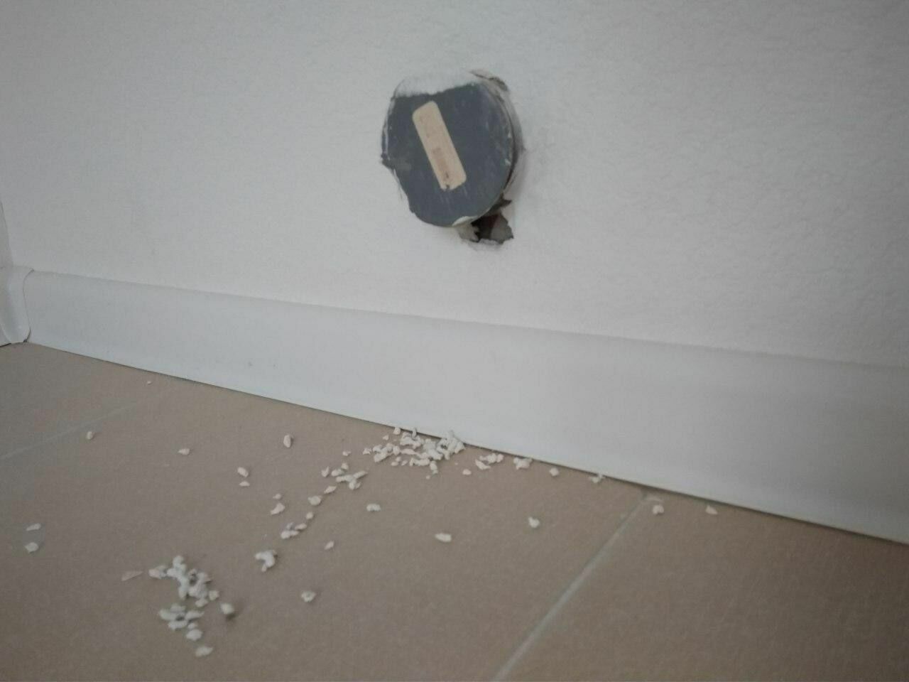 В эту квартиру крыса проникла через заглушку электропроводки