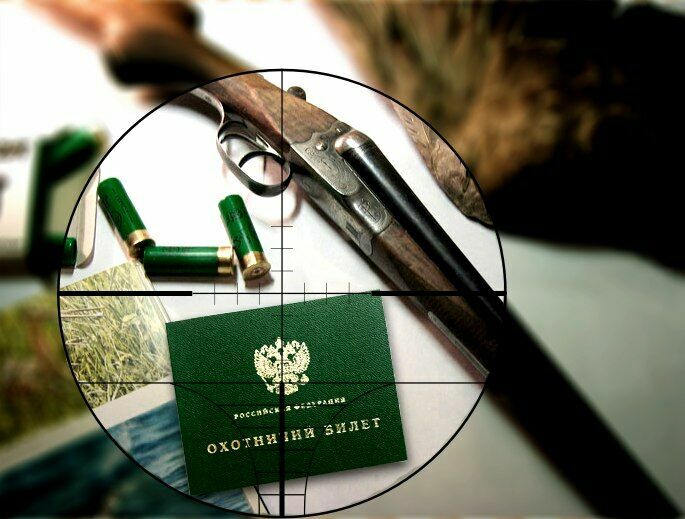 Госдума предлагает поправки в закон об оружии, чтобы облегчить жизнь охотникам