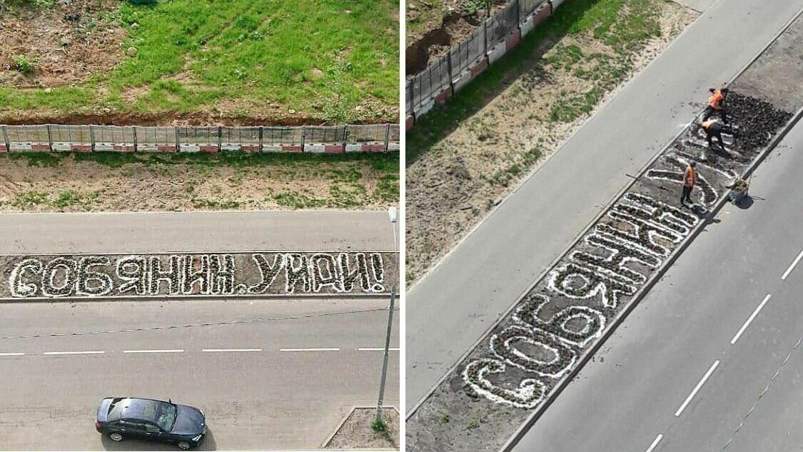 ФотКа дня: Собянина просят уйти надписью на газоне